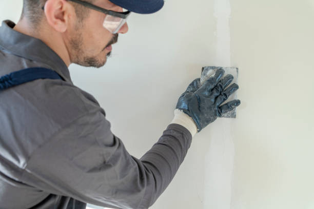 Best Crawl Space Mold Remediation  in Norton Center, MA