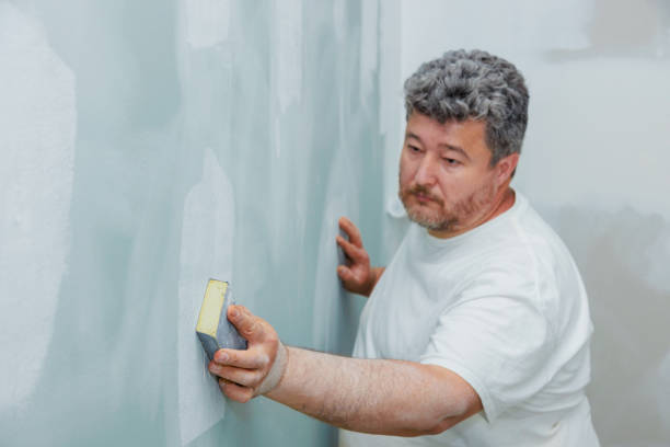Best Basement Mold Removal  in Norton Center, MA